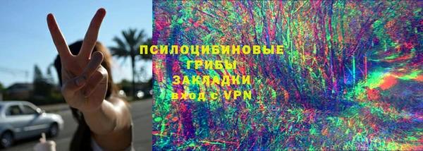 молекула духа Галич